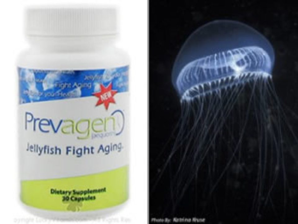 Prevagen-1200x900